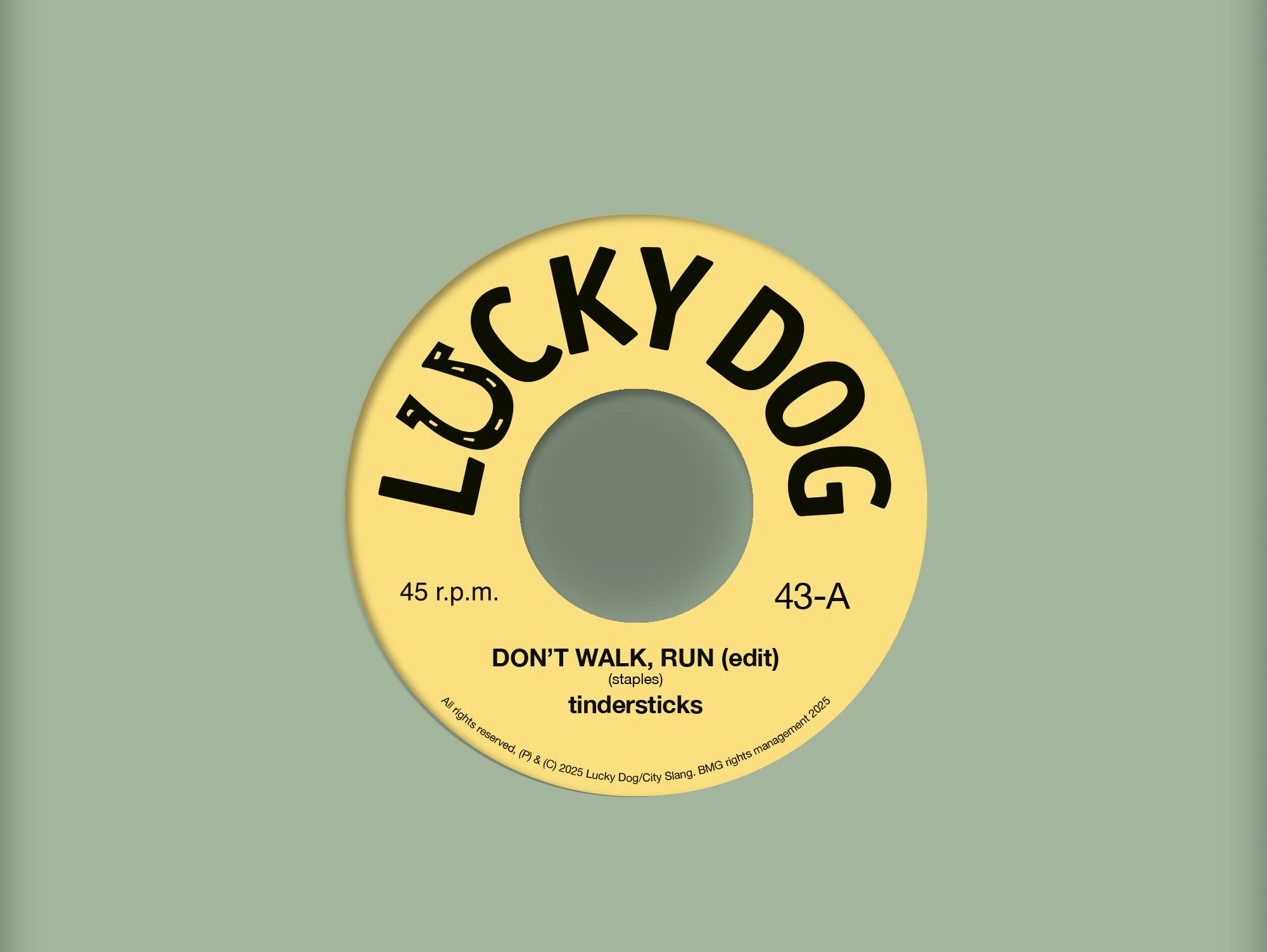 Tindersticks Announce New Limited Edition 7"