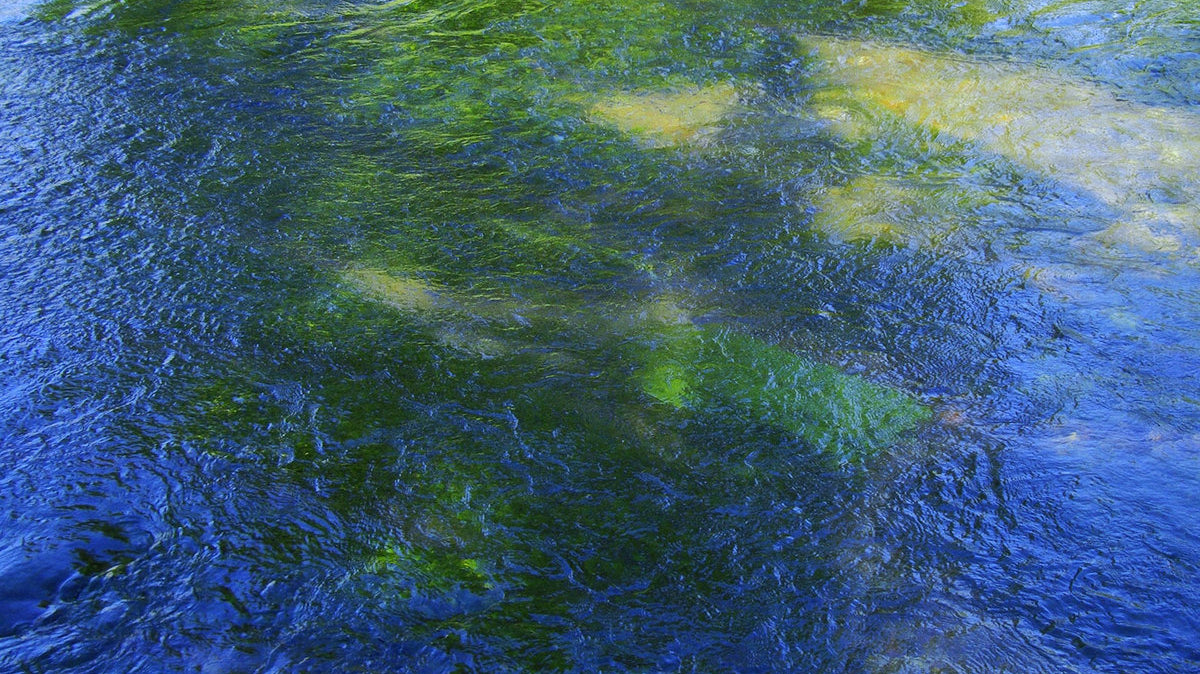 'Suddenly Remixes' Out Now!