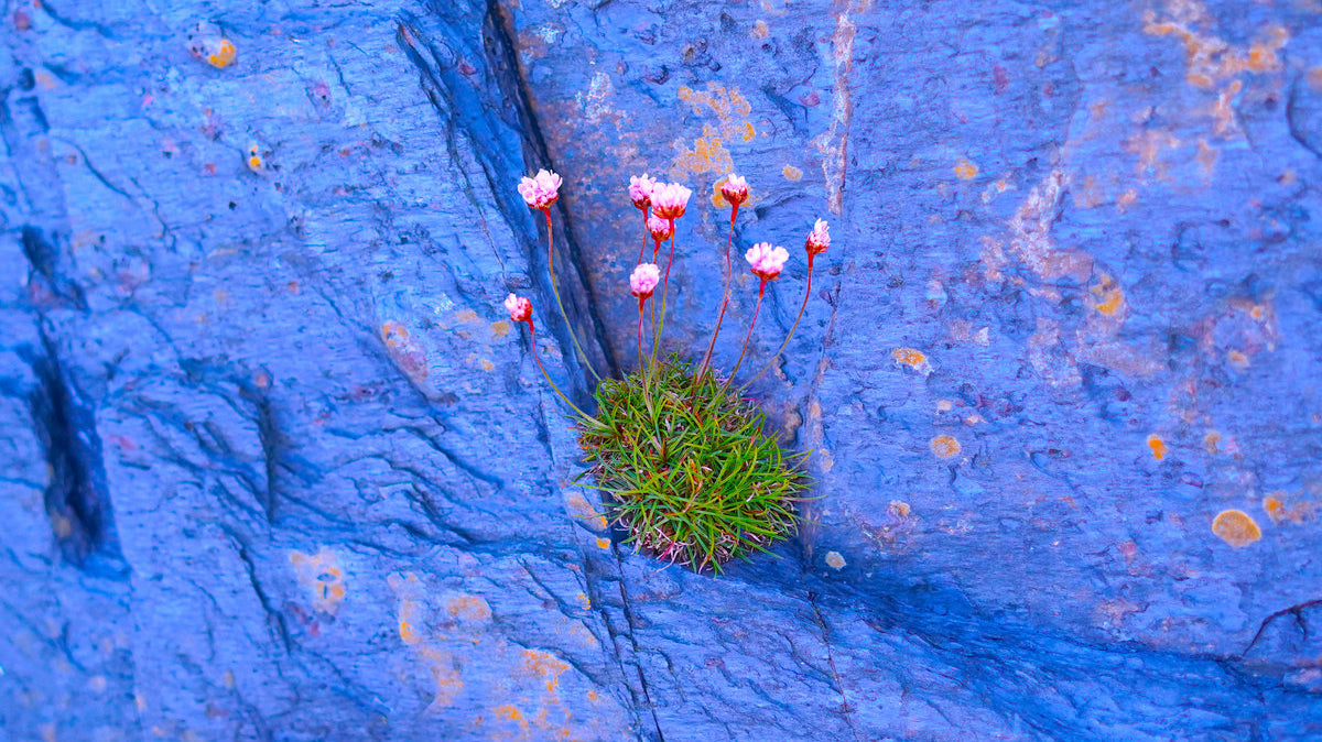 New Single: 'You Can Do it'