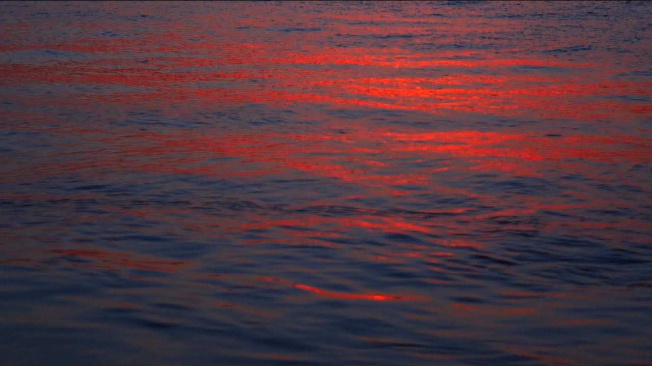 New Single: 'Ocean Wave'