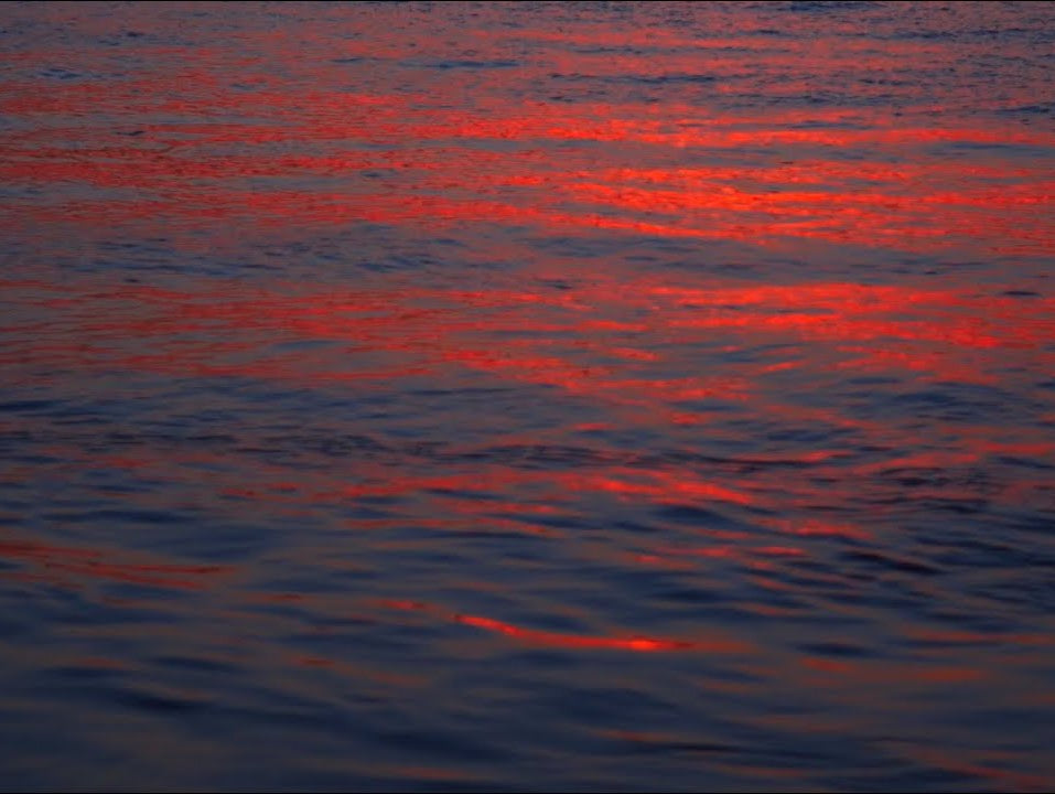 New Single: 'Ocean Wave'