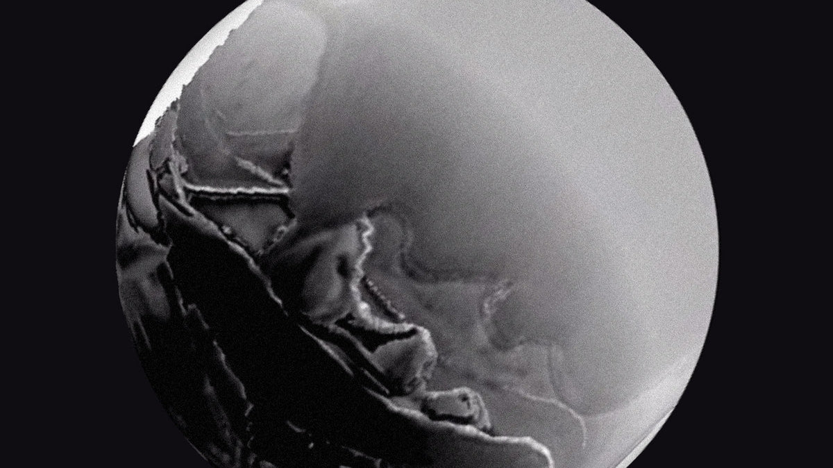 New Video for "Kiss Me All Night"