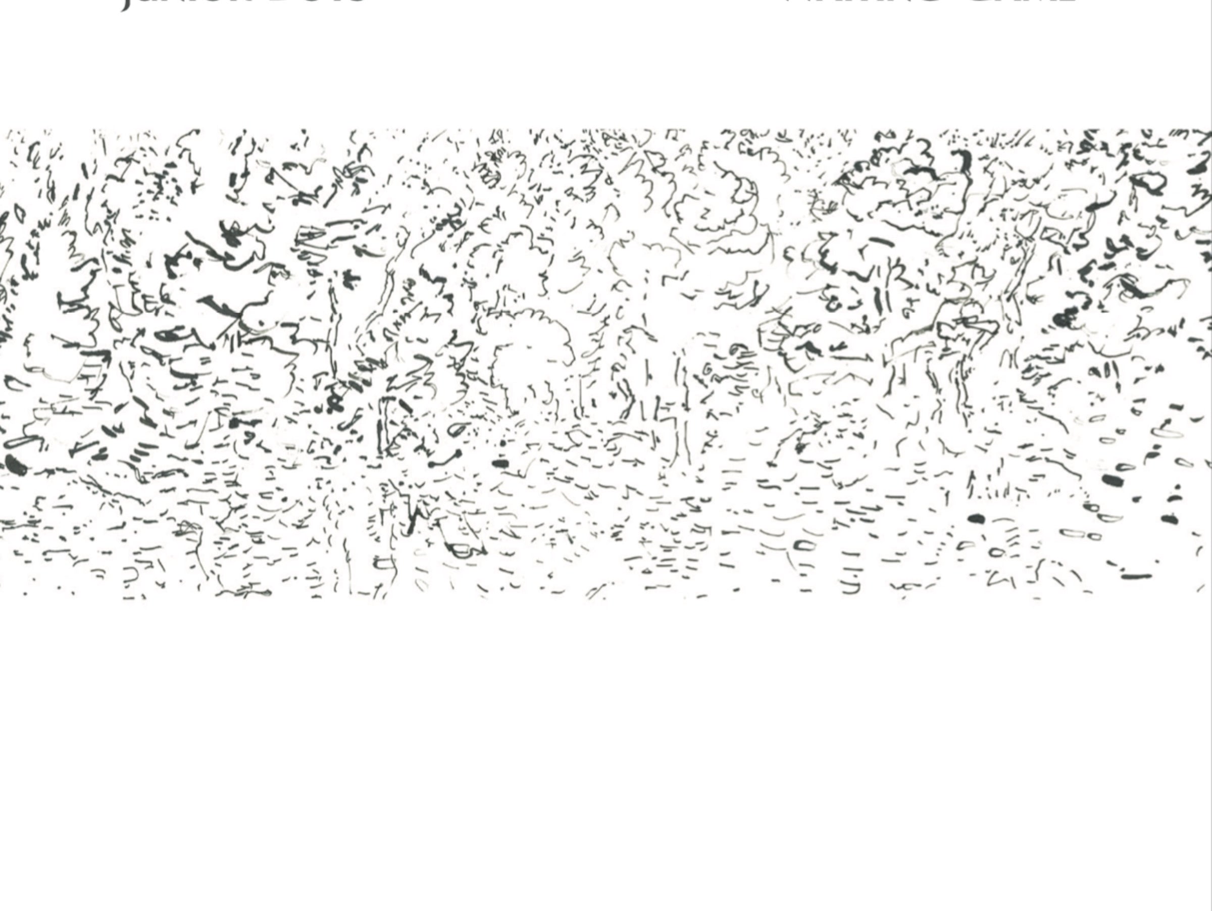 New Album Announced: 'Waiting Game'