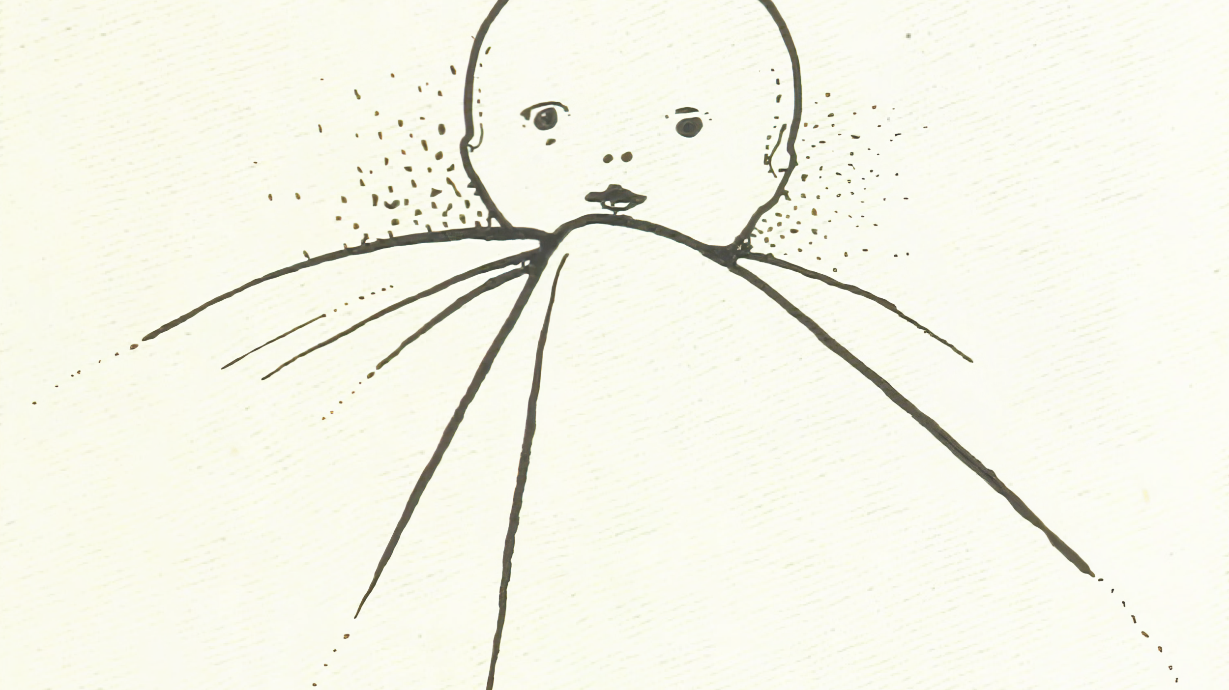 New Track + Video + Extremely Limited 12" Vinyl