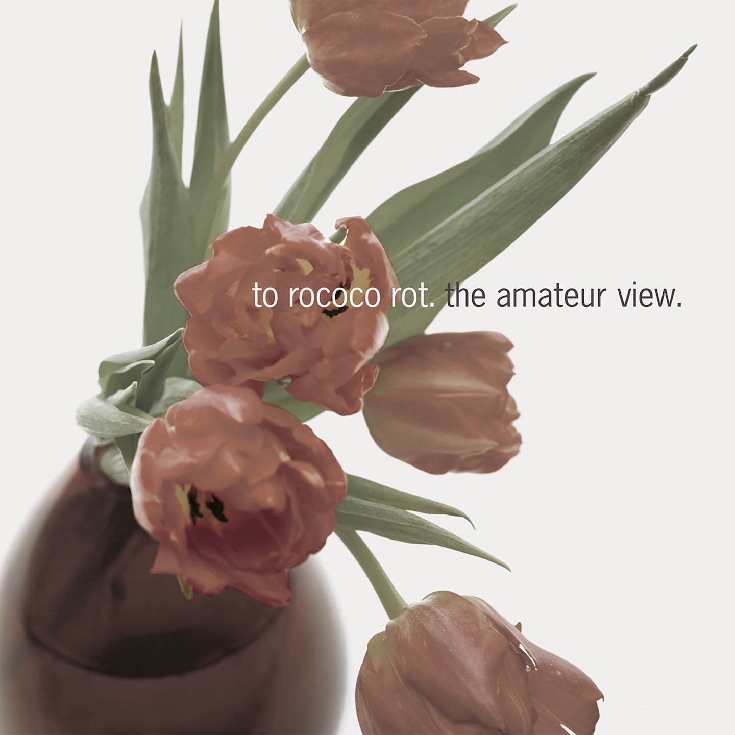 To Rococo Rot - The Amateur View (Expanded Edition 2025)