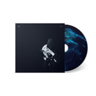 anna b savage a common turn cd