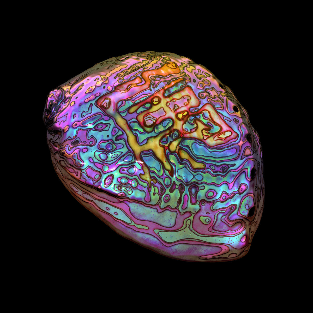 son lux ian_chang_white_vinyl_belonging