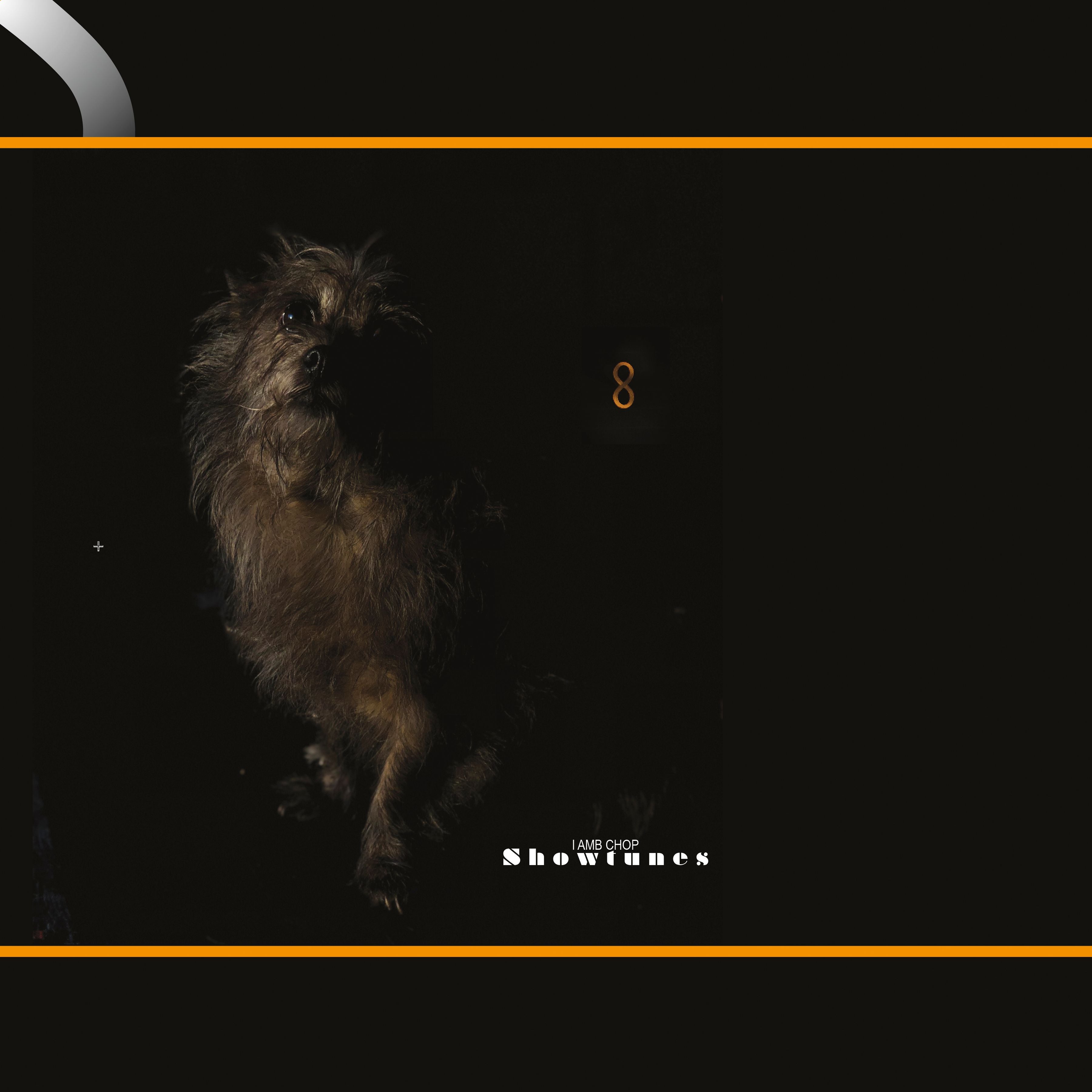 lambchop showtunes album vinyl