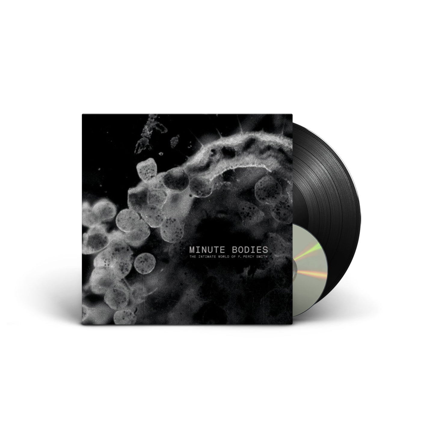 tindersticks buy minute bodies vinyl dvd