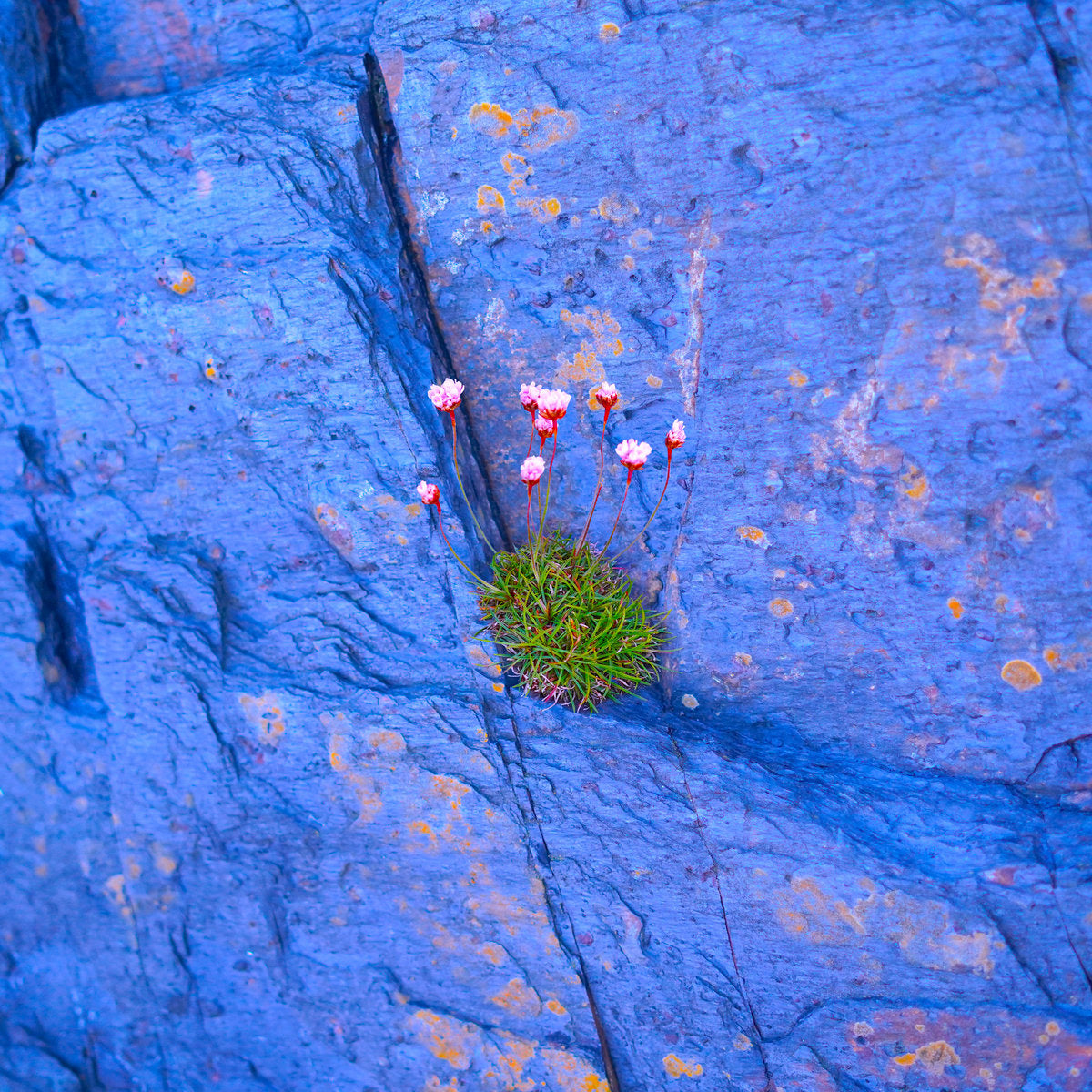 New Single: 'You Can Do it'