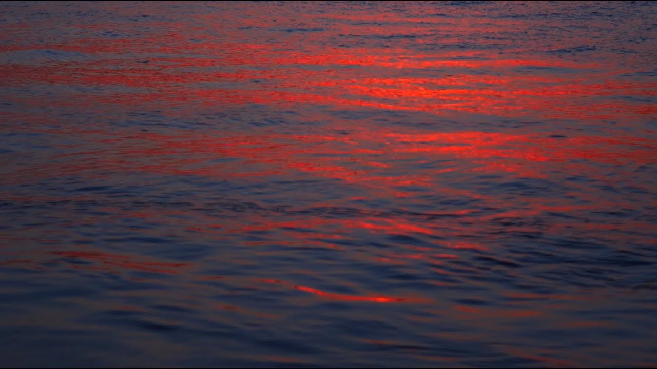 New Single: 'Ocean Wave'