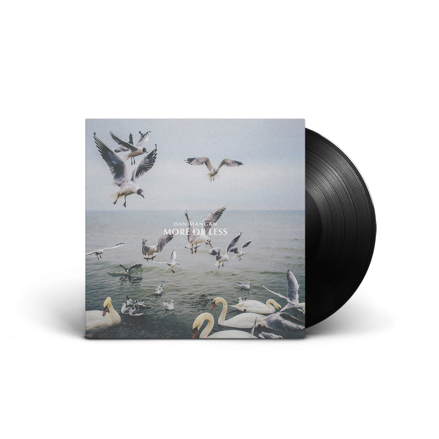 dan Mangan more or less vinyl buy