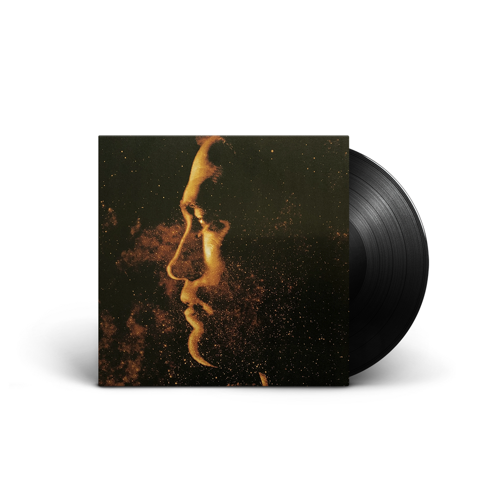 stuart staples tindersticks high life vinyl soundtrack 