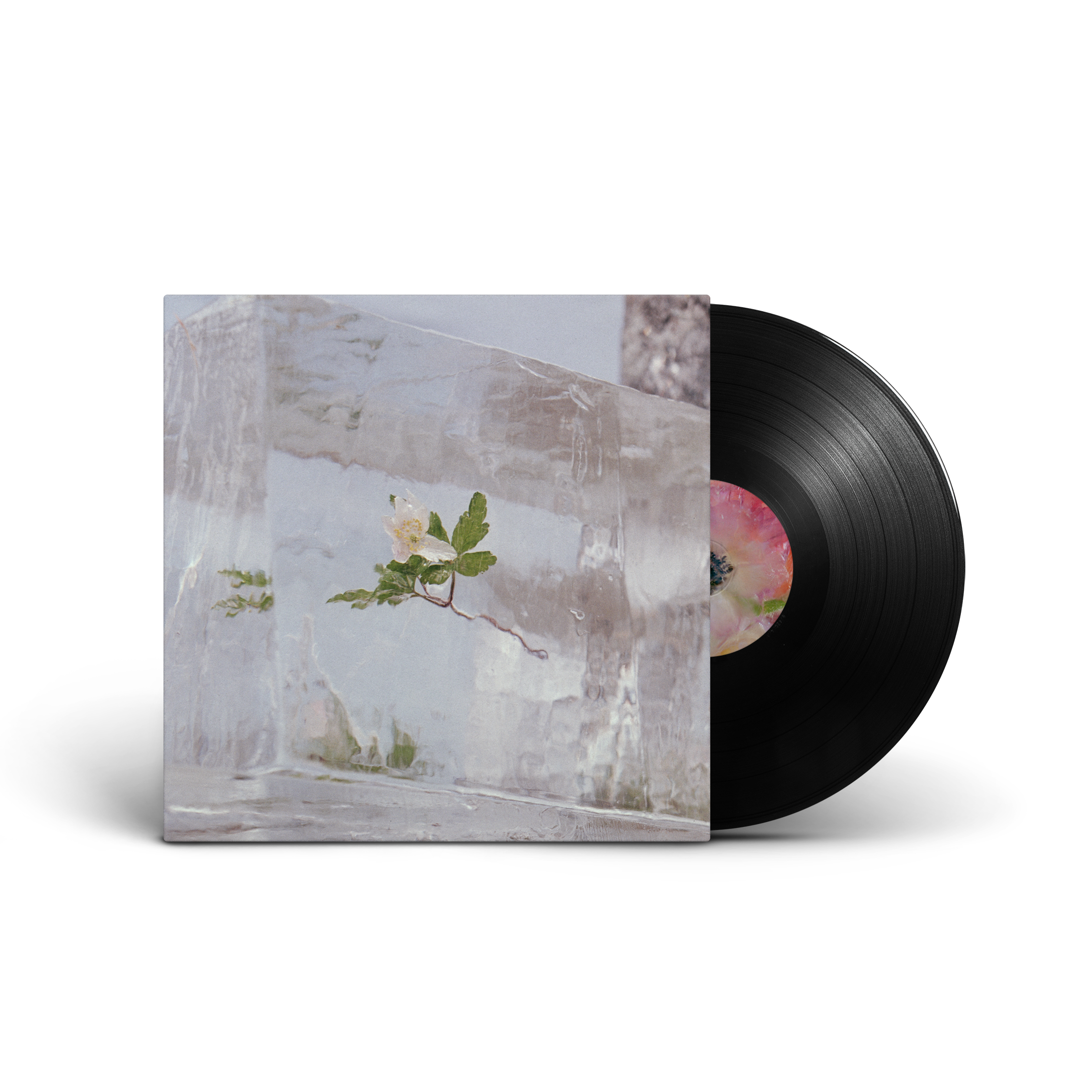 efterklang windflowers buy black vinyl shop city slang